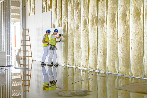 Best DIY Insulation Kits and Guidance in Jamestown West, NY